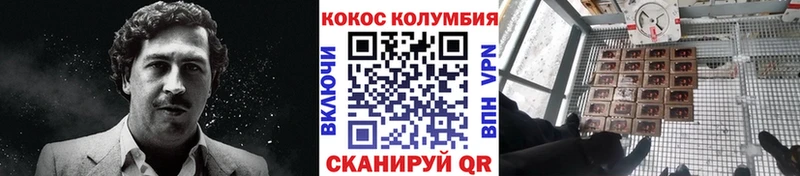 хочу наркоту  кракен маркетплейс  COCAIN Columbia  Суворов 