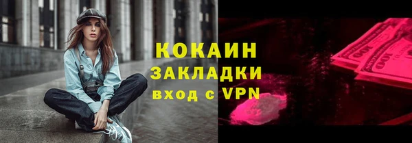 сатива Корсаков