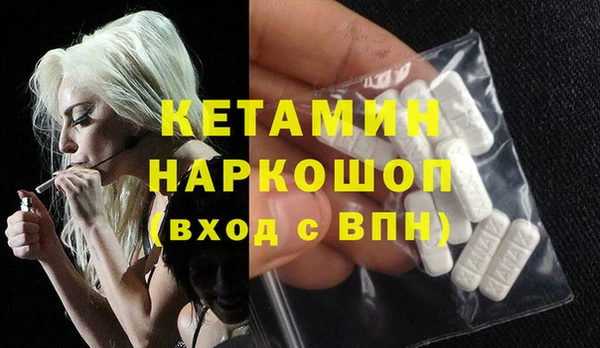 сатива Корсаков