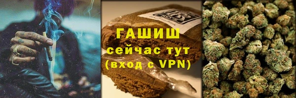 сатива Корсаков