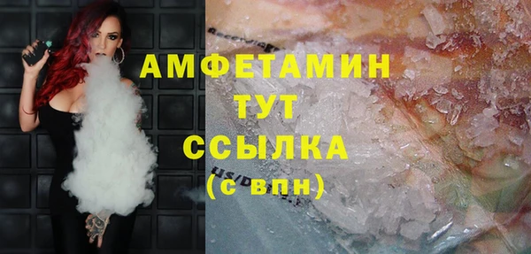 сатива Корсаков