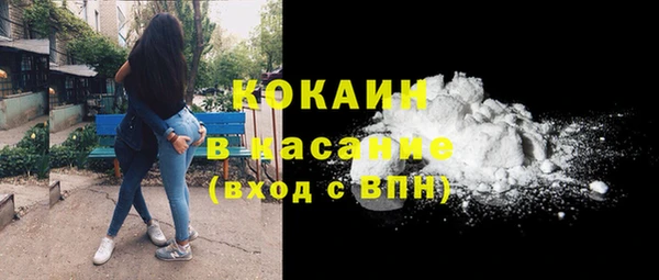 сатива Корсаков