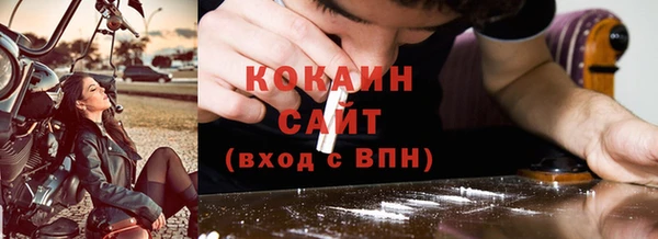 сатива Корсаков