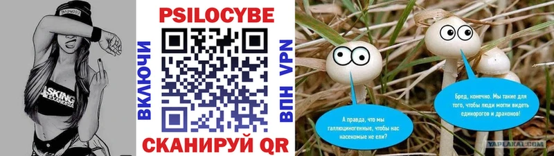 хочу наркоту Суворов Псилоцибиновые грибы мухоморы